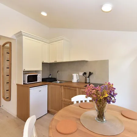 Apartment Smiltis Palanga